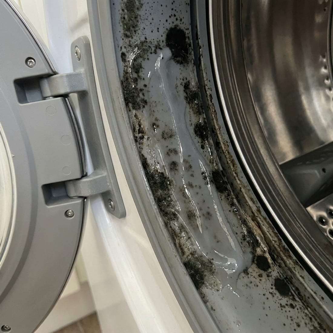 Mold Stain Gel freshly applied to the washer gasket — a thick wet coating along the rubber surface